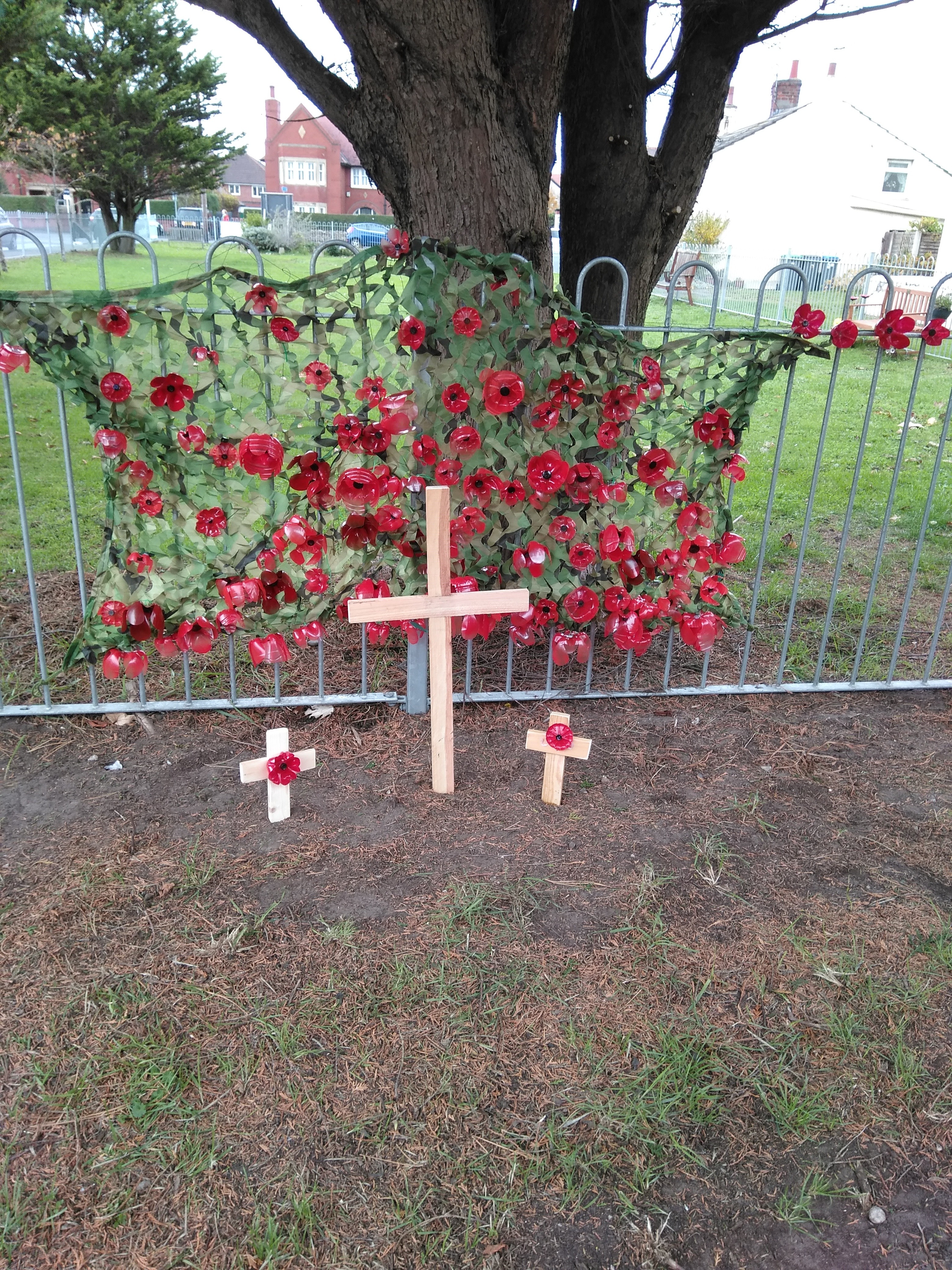 remembrance poppy display case remembrance poppy display case