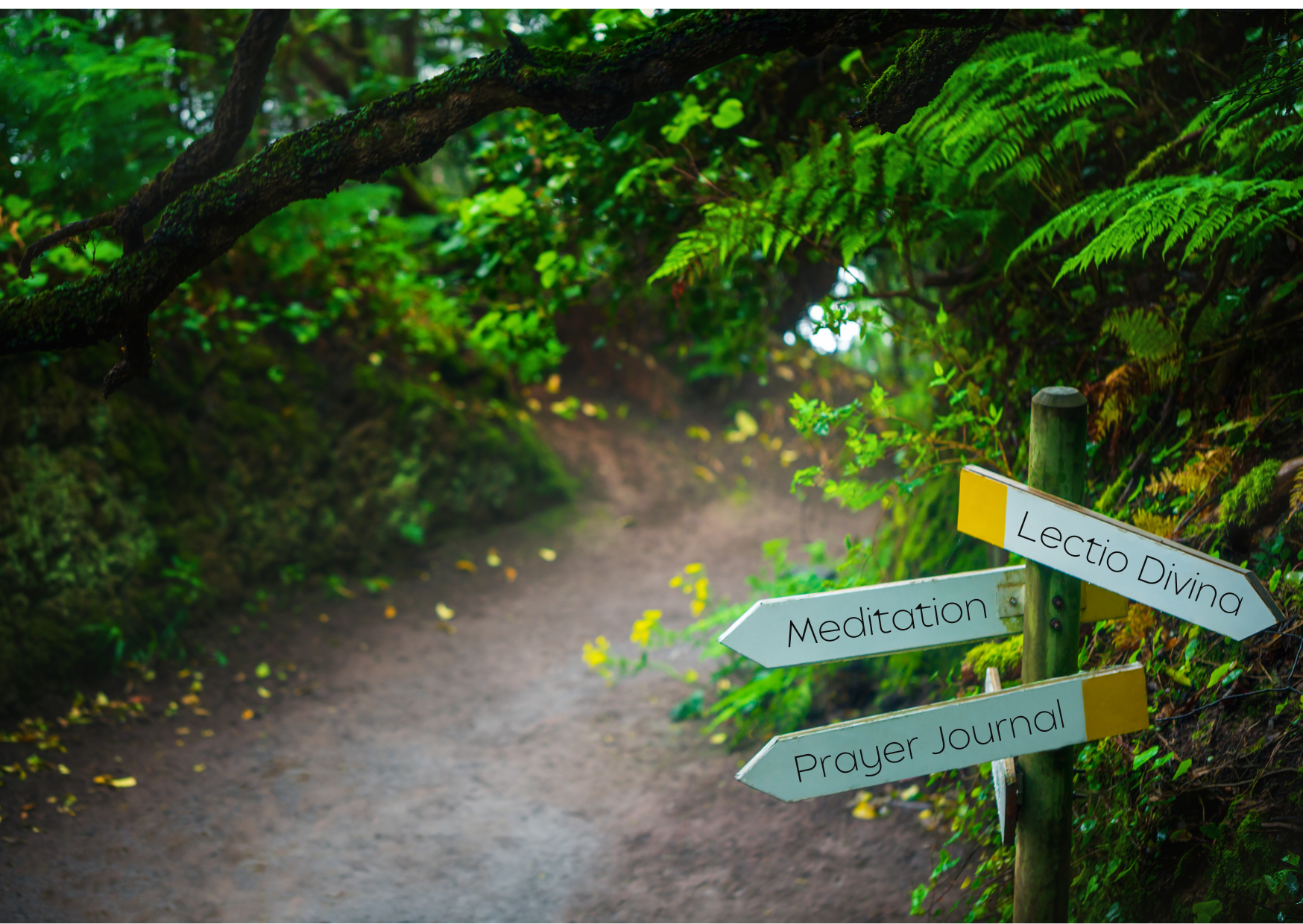 Image of pathway through green trees with sign post pointing to 'Lectio Divina', 'Meditation' and 'Prayer Journal'.